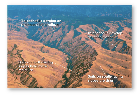 <p>how does <strong>relief / topography affect soil?</strong></p>
