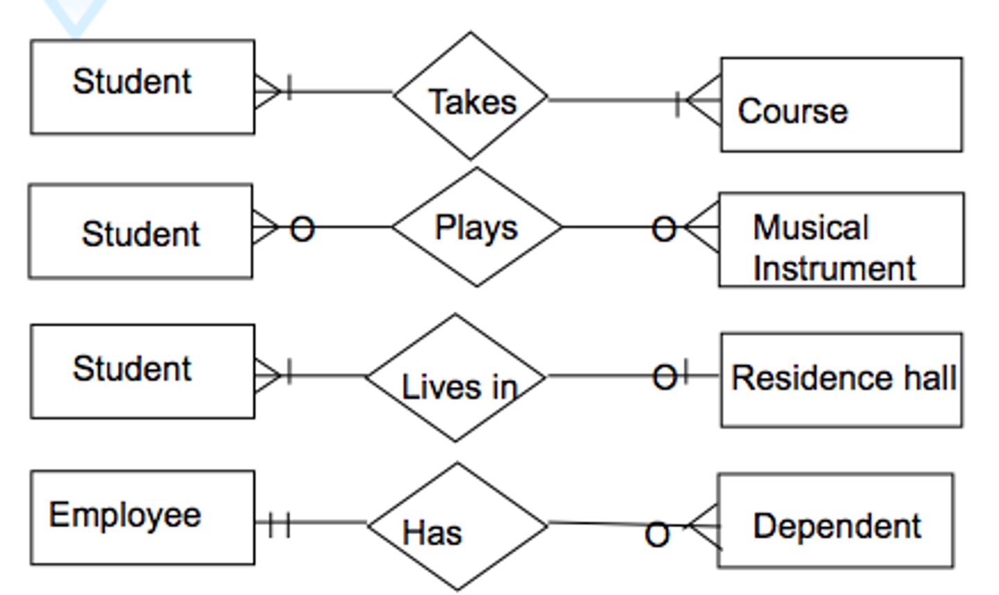 <p>A graphical representation of database requirements; contains entities and relationships</p>