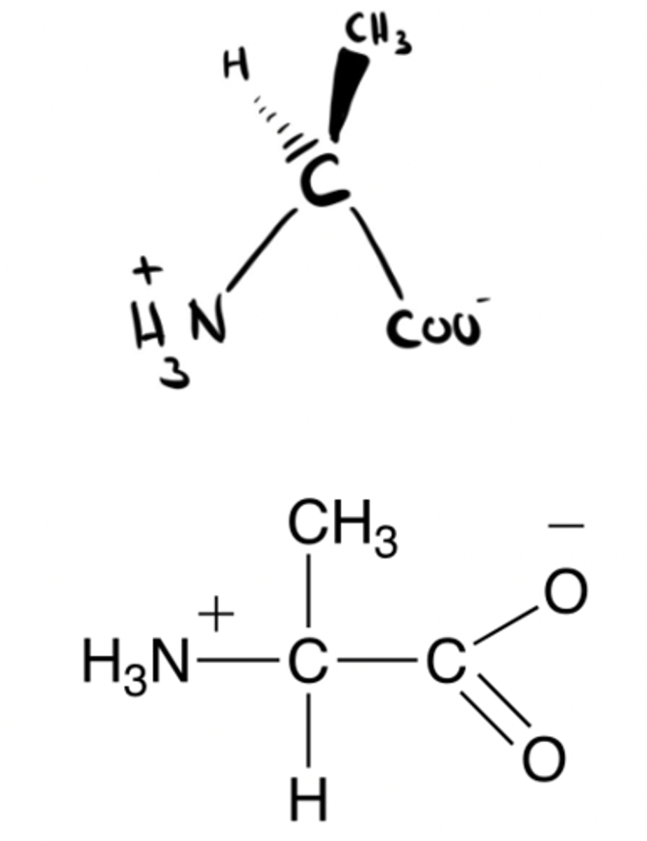 <p>L or D molecule?</p>