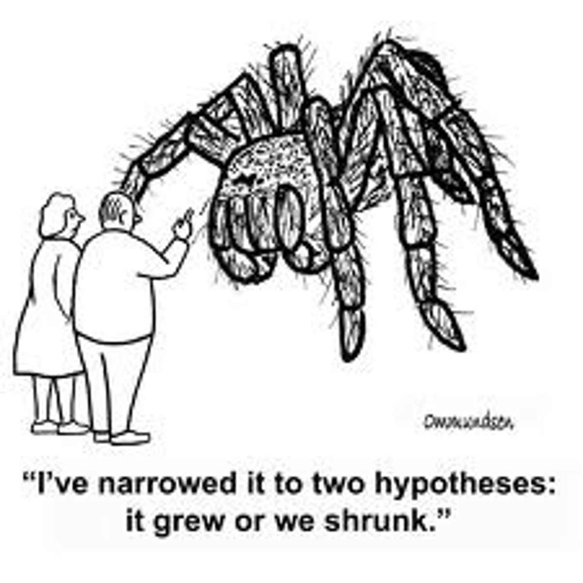 <p>An educated guess and testable statement.</p>