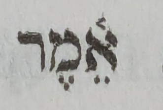 term image