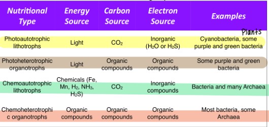 <p><strong>source of energy to fuel cell functions</strong></p><p><strong>source of carbon</strong></p><p><strong>source of electrons</strong> - need high energy e- and energy in the form of ATP and other chemical phosphates</p>