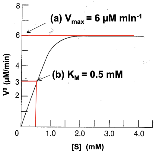 <p>a) asymptote → 6 μM min<sup>-1</sup></p><p>b) point where [S]=1/2 V<sub>max</sub> → 0.5 mM</p><p>c) V<sub>max</sub> = k<sub>cat</sub> [E]<sub>T</sub> → k<sub>cat</sub>= V<sub>max</sub>/[E]<sub>T</sub> → k<sub>cat</sub>= 6 μM min<sup>-1</sup>/10<sup>-3</sup> μM= 6×10<sup>3 </sup>min<sup>-1</sup>= 100s<sup>-1</sup></p><p>d) k<sub>cat</sub>/K<sub>M</sub>= 100 s<sup>-1</sup>/0.5 mM= 200 s<sup>-1</sup> mM<sup>-1</sup>= 2×10<sup>5</sup> s<sup>-1</sup>M<sup>-1</sup></p>