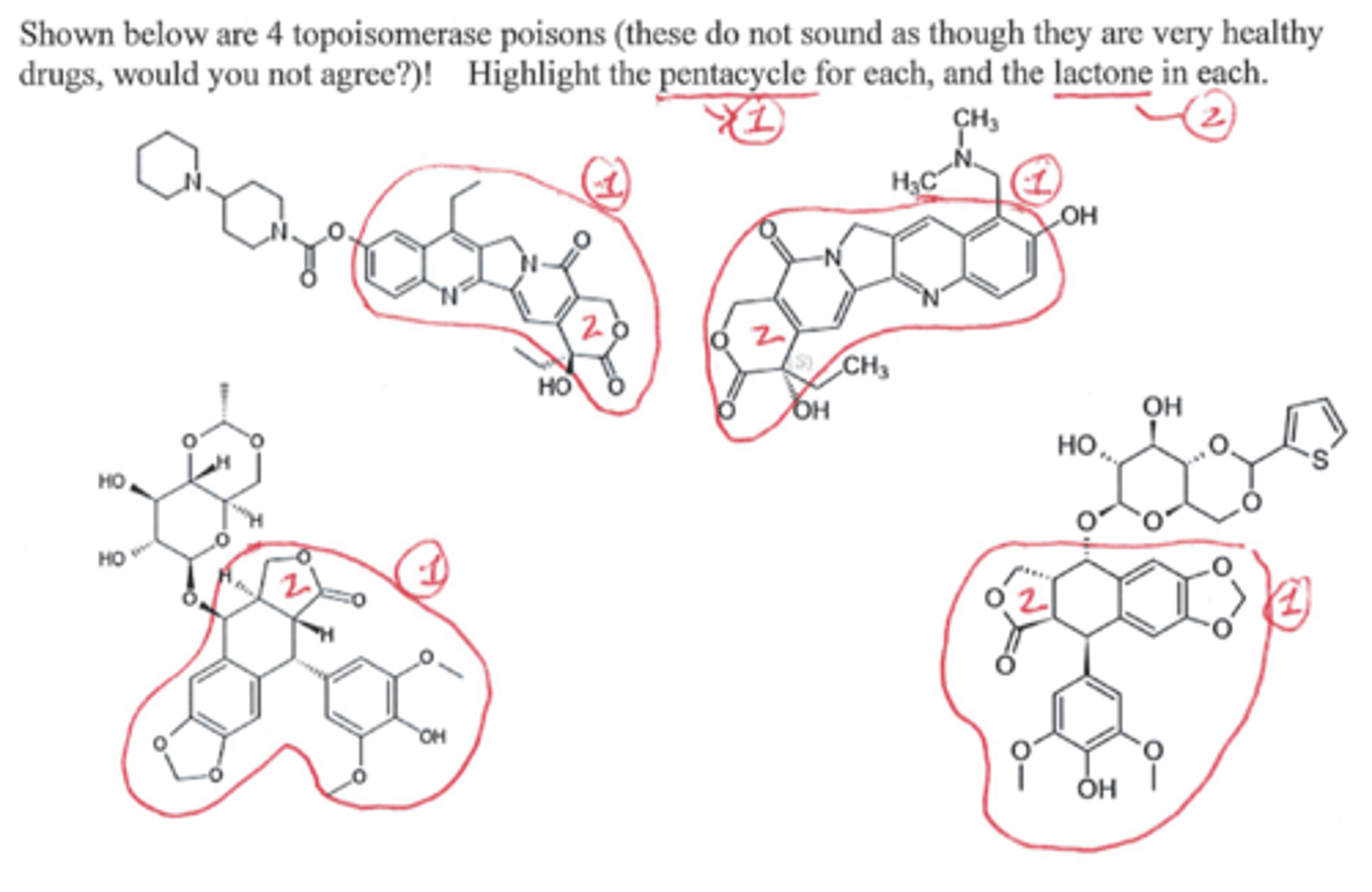 <p>Shown below are 4 topoisomerase poisons Highlight the pentacycle (1) for each, and the lactone (2) in each.</p>
