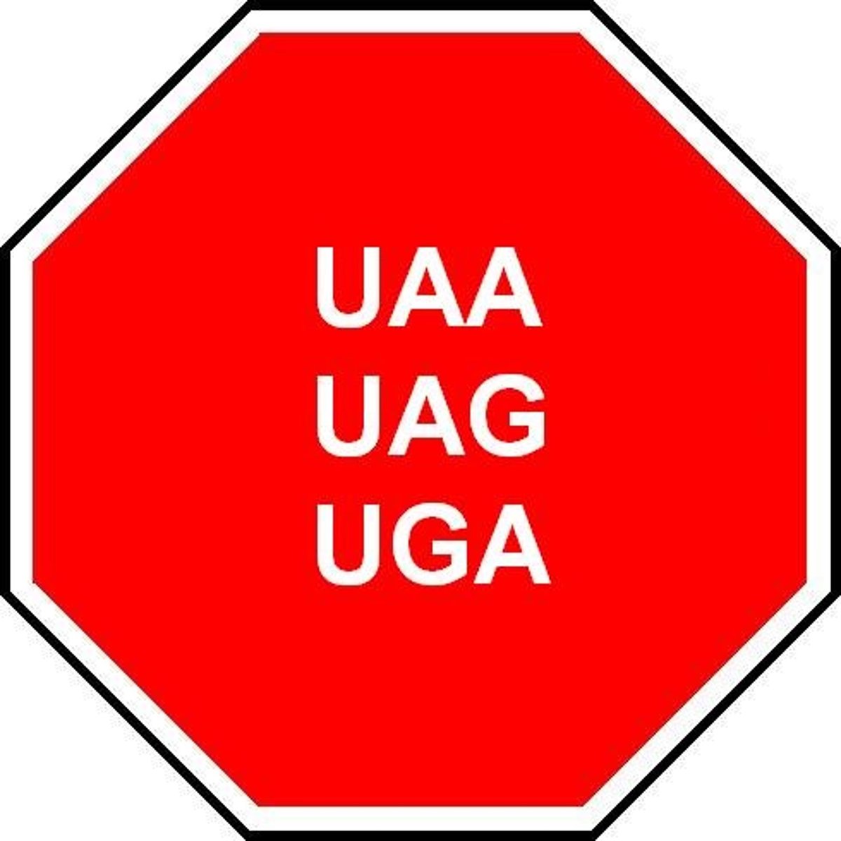 <p>UAA, UGA, UAG (U are annoying, U go away, U are gone)</p>