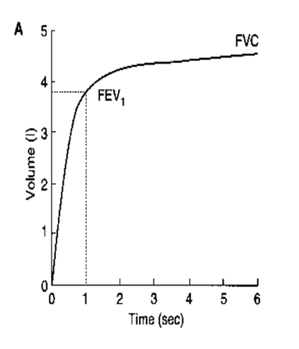 <p>forced expiratory volume in 1 second</p>