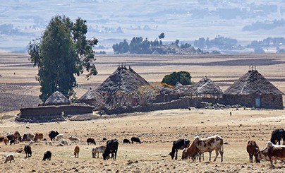 <p>to graze</p>