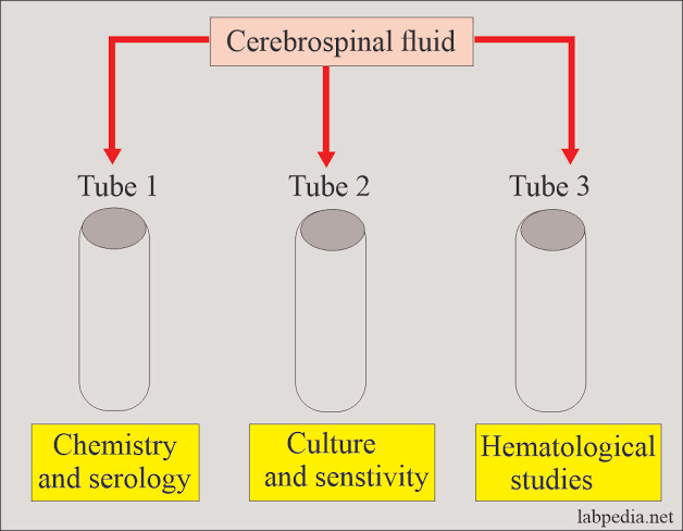 <p><span><span>Hematology tests</span></span></p>