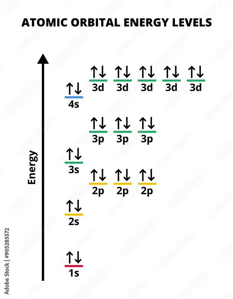 <p>Energy levels increase with distance from the nucleus and is shown in the image where orbitals like 3d have more energy than 4s.</p><p>Spin is an electron property where two electrons in the same orbitals have opposite spins and is represented using arrows pointing in different directions (They don’t actually spin). By having two opposite spins it makes the atom more stable.</p>