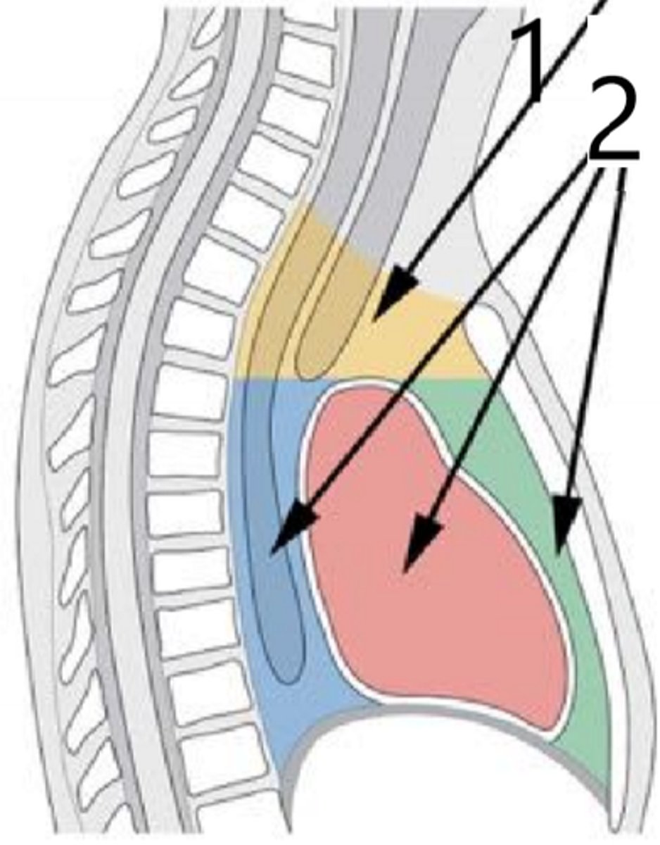 <p>3,4,5 (alles onder geel).</p>