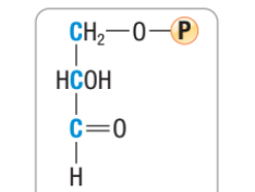 <p>What molecule is this?</p>