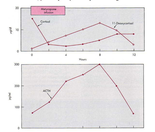 pituitary responds by increasing ACTH levels