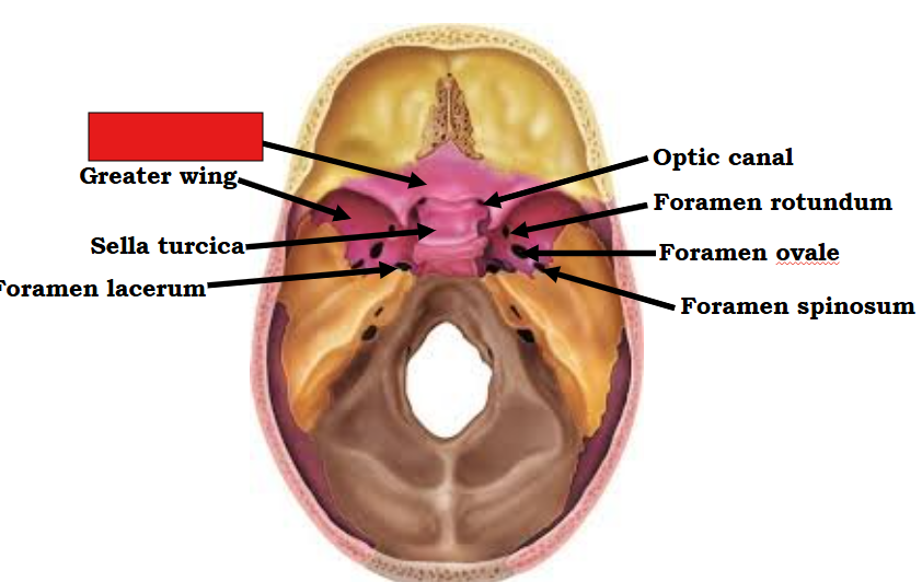 <p>Fill in the red box</p>