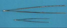 <p>are used to grasp delicate tissue.</p>