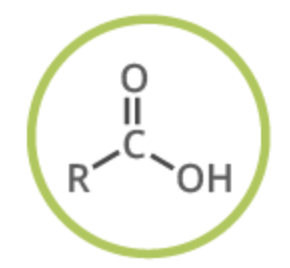 <p>functional group</p>