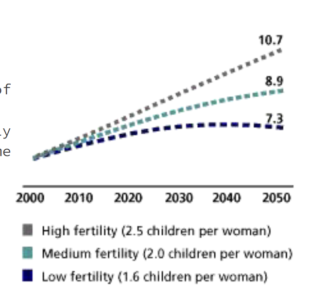 <p>UN Predictions</p>