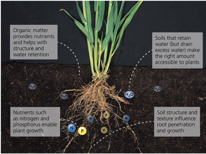 soil effect chart