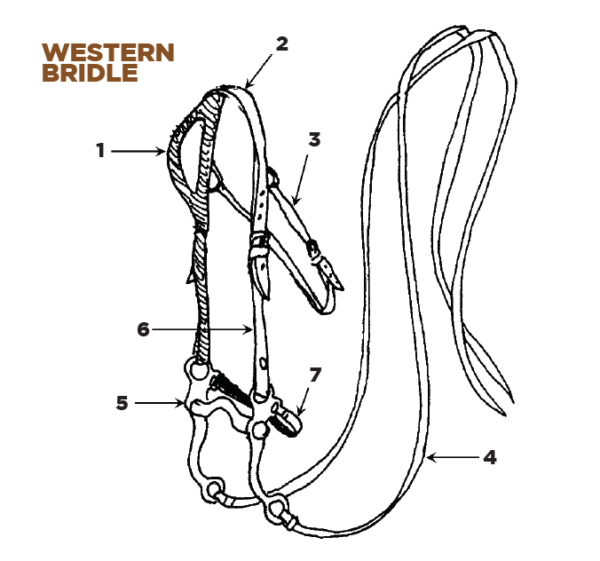 name parts of a western bridle