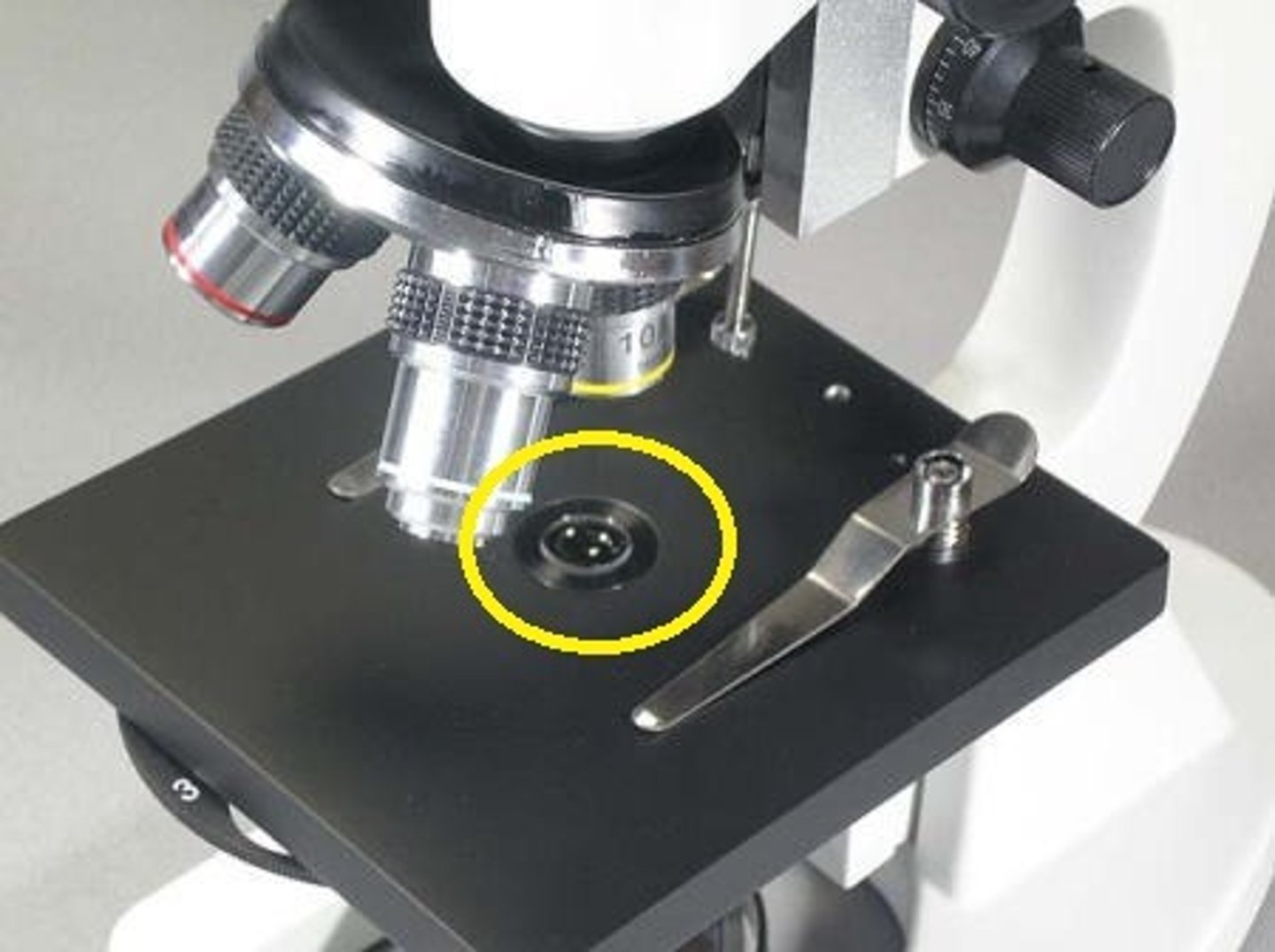 <p>Platform on a microscope where slides are placed.</p>