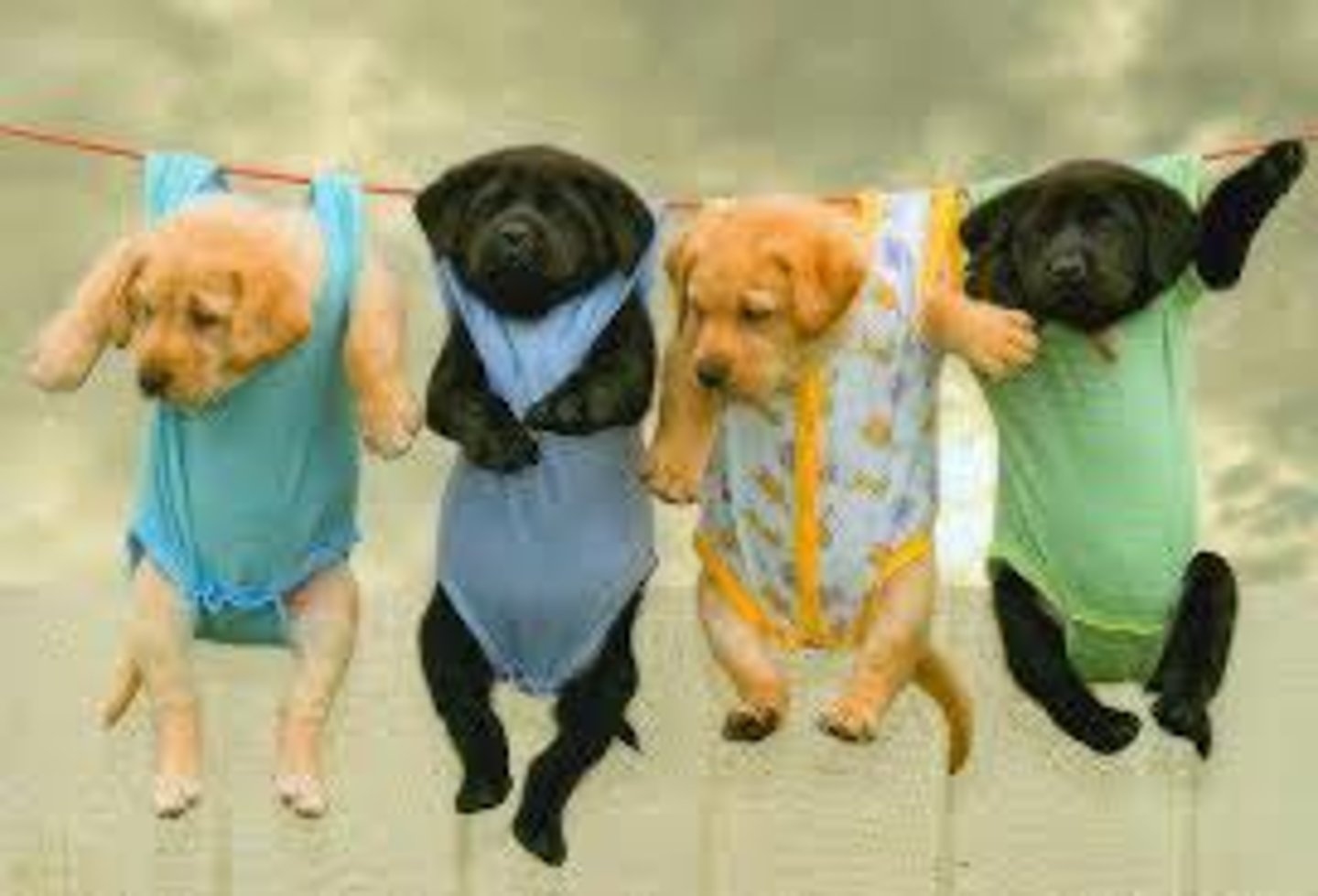 <p>móc lên, treo lên</p>