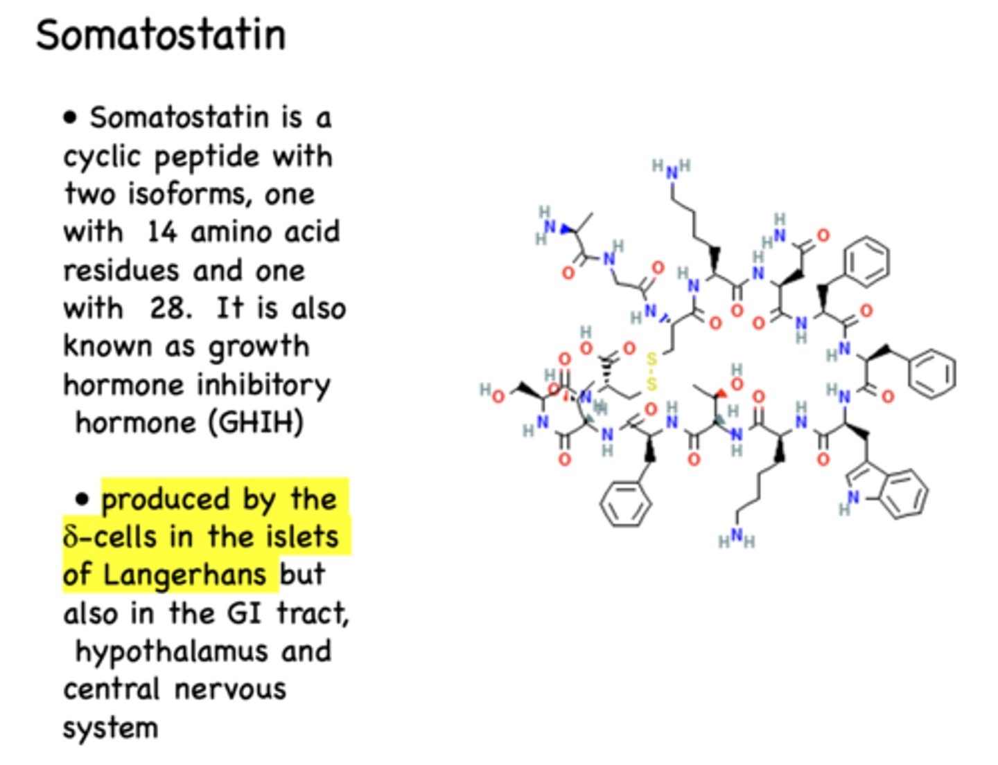 <p>Somatostatin</p>