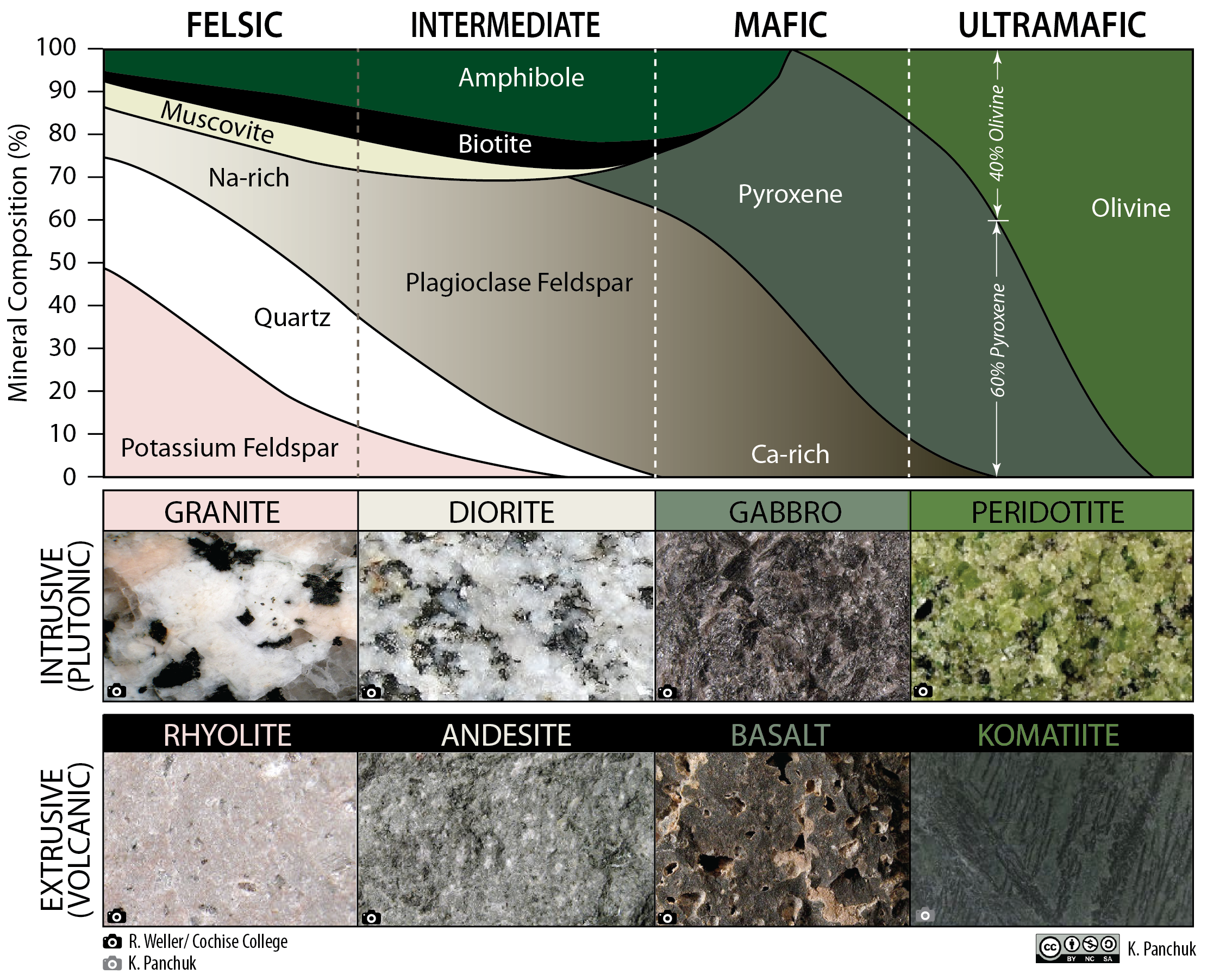 <ul><li><p><strong>Intrusive (coarse-grained) rocks</strong> → Form strong, erosion-resistant <strong>mountains and batholiths</strong> (e.g., Sierra Nevada).</p></li><li><p><strong>Extrusive (fine-grained) rocks</strong> → Weather faster, forming <strong>volcanic plateaus and ash deposits</strong> (e.g., Columbia River Basalt).</p></li><li><p><strong>Silica-rich (felsic) magmas</strong> → Form explosive volcanoes and stratovolcanoes (e.g., Andes).</p></li><li><p><strong>Mafic magmas</strong> → Form fluid lava flows and shield volcanoes (e.g., Hawaii). </p></li></ul><p></p>