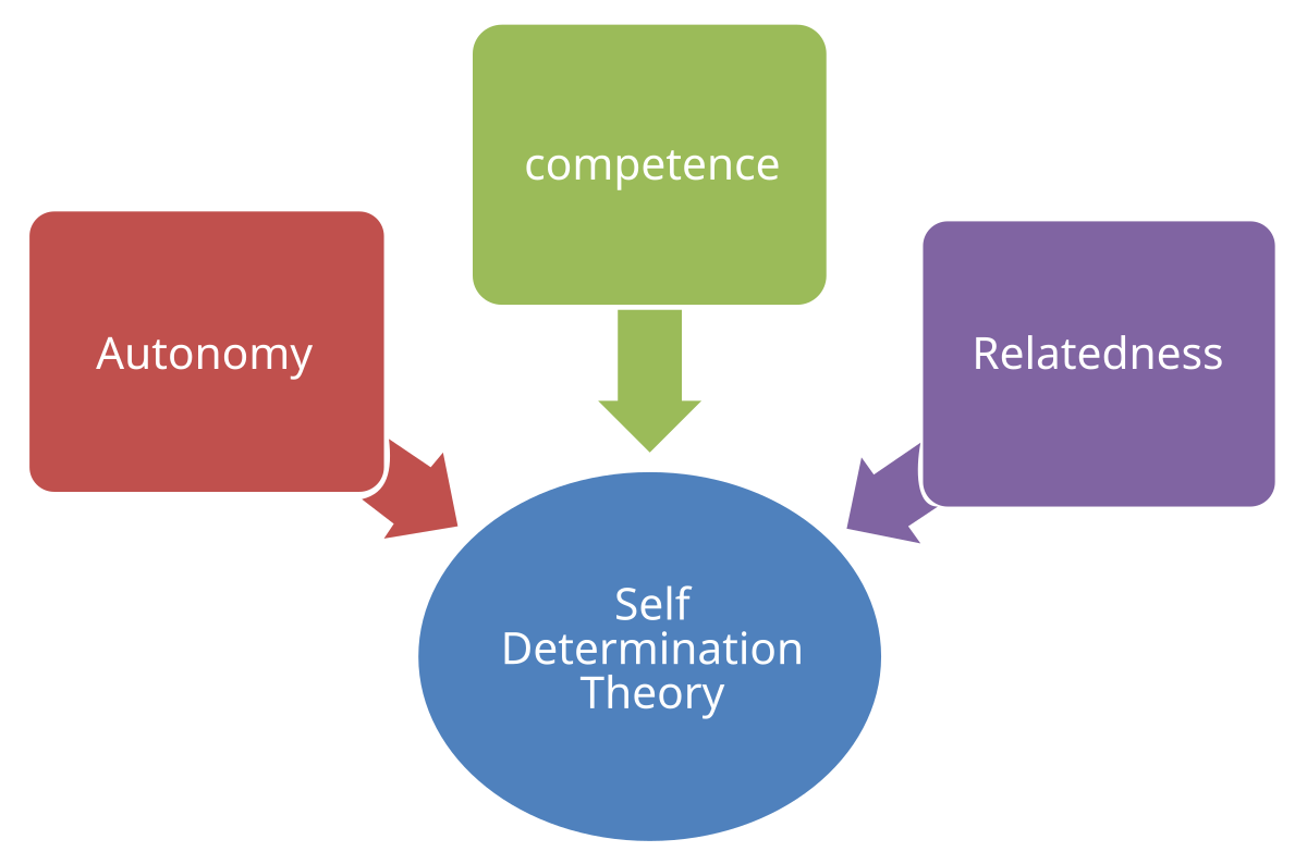 <p>Global theory of human motivation and development that has evolved from pioneering work</p>