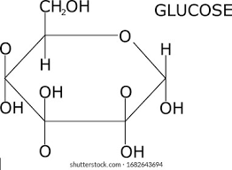 Alpha glucose 