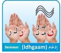 <h3 id="5bd1c242-a919-4dc0-bc8b-9f10d80e2fb3" data-toc-id="5bd1c242-a919-4dc0-bc8b-9f10d80e2fb3" collapsed="false" seolevelmigrated="true">Fusionar</h3><p>Se fusiona la ن con las letras que siguen. En el caso de ل y  ر no suena la ن y solo se escuchará la letra con shaddah.</p><p>Son las letras de “iarmaluna”</p>