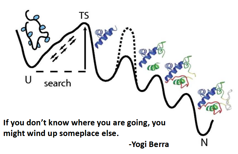 <p>protein folding landscape has stable conformations that aren’t its native; lots and lots of testing has to be done then, but proteins fold spontaneously and fast!</p>