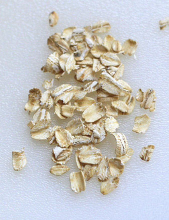 <p><strong>Increased surface area for microbes to ferment!</strong></p>