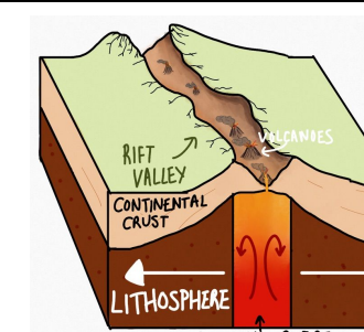 <ul><li><p>When the continental plates separate, any land in the middle of the separation is forced apart.</p></li><li><p>The stretching and collapsing of the crust create rift valleys e.g., The Great African Rift Valley.</p></li><li><p>The lifted areas of rock are known as horsts, whereas the valley itself is known as a graben.</p></li><li><p>Where magma rise between the gaps of the plates, volcanoes form.</p></li><li><p>Eventually the gap may fill with water and completely separate from the main island.</p></li></ul><p></p>