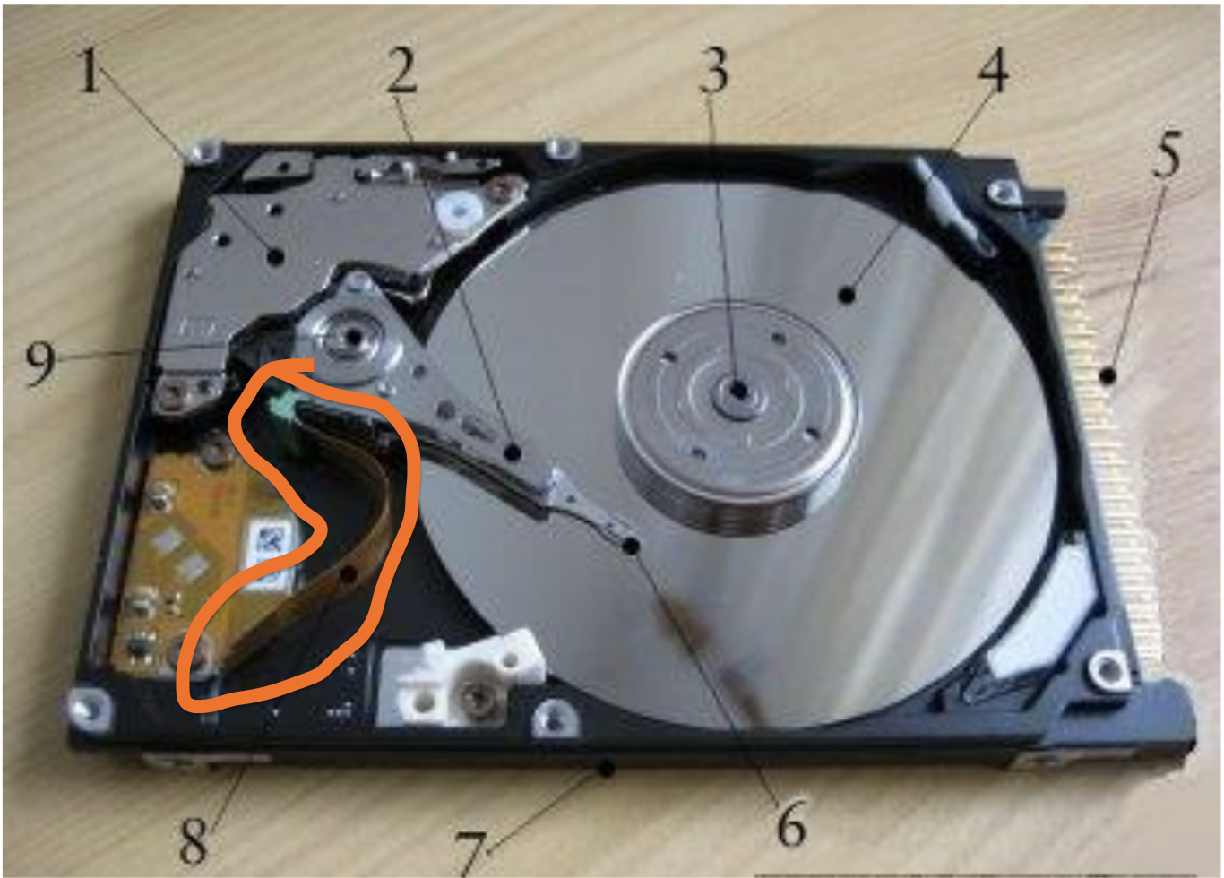 knowt flashcard image