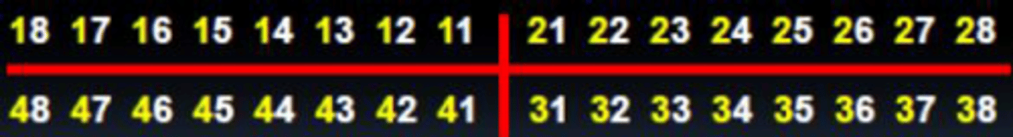 <p>what is the name of the numbering system that we use?</p>