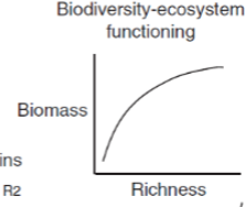 <p>What is the Biodiversity-Ecosystem Functioning Theory?</p>