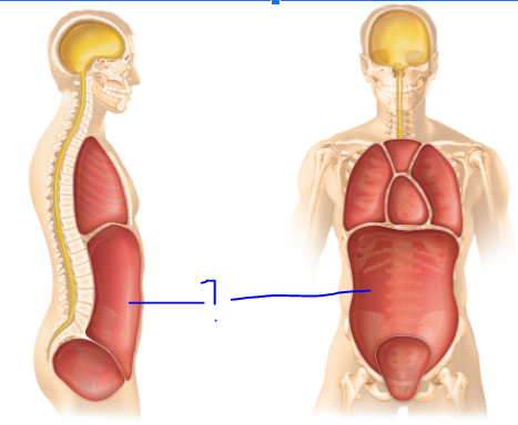 <p>(?)</p>