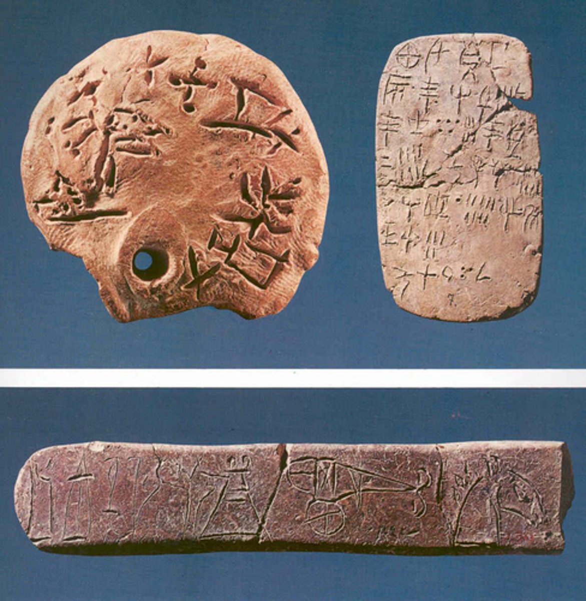 knowt flashcard image