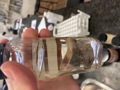 <p>What is the genus species of this larval tapeworm? It forms hydatid cysts in the liver and lungs of a high percentage of moose and elk in Alberta (its intermediate host)</p>