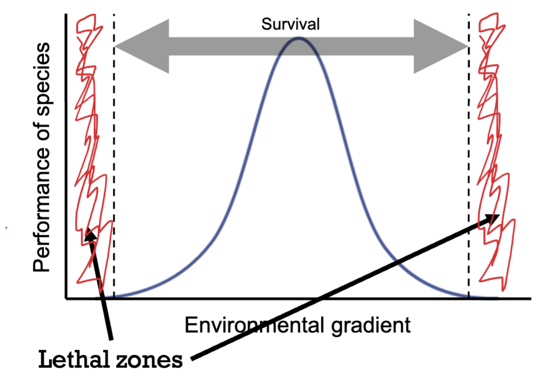 <p>Along different environmental gradients, species have different ranges of tolerance. </p>