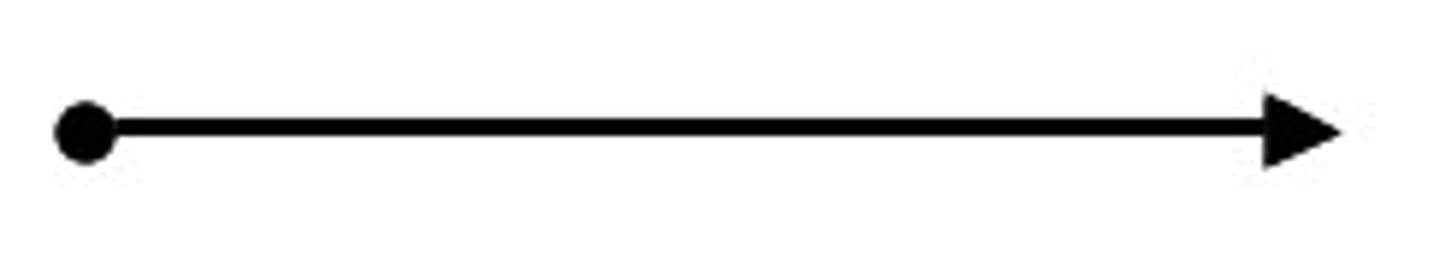 <p>a portion of a line with one end point and including all points on one side of the end point</p>