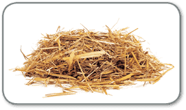 <p>straw, hay</p>