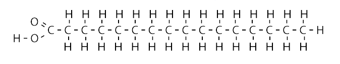 <p>contain single bonds throughout their carbon chains, solids at room temperature</p>