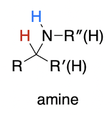 <p>amine<strong> </strong><br>always 1,2-addition</p>
