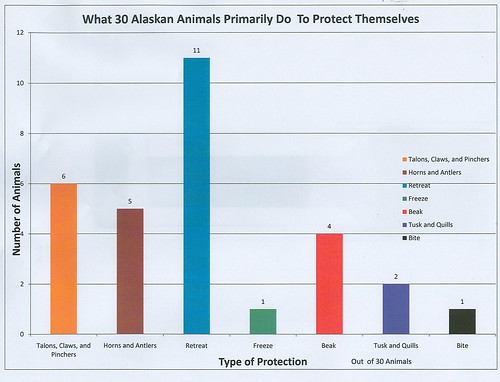 graph that shows the relationship between one categorical variable and one continuous variable