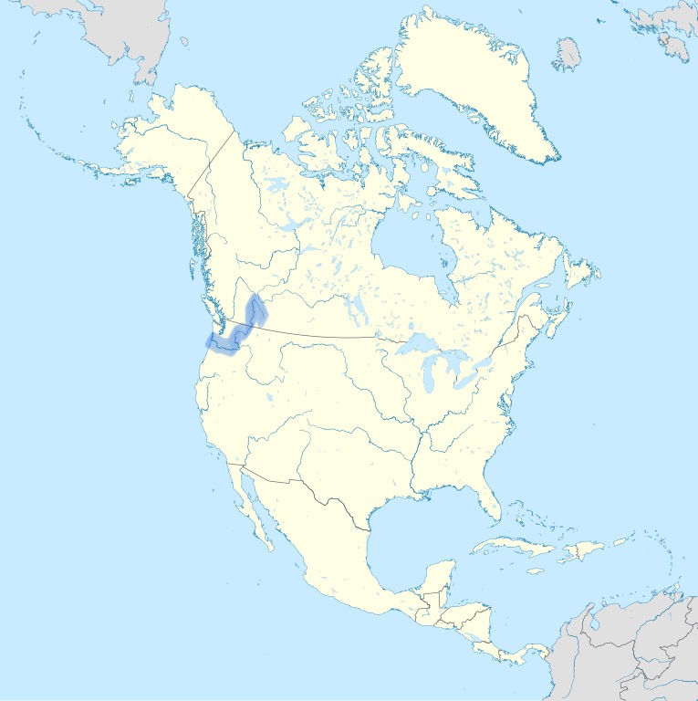 <p></p>