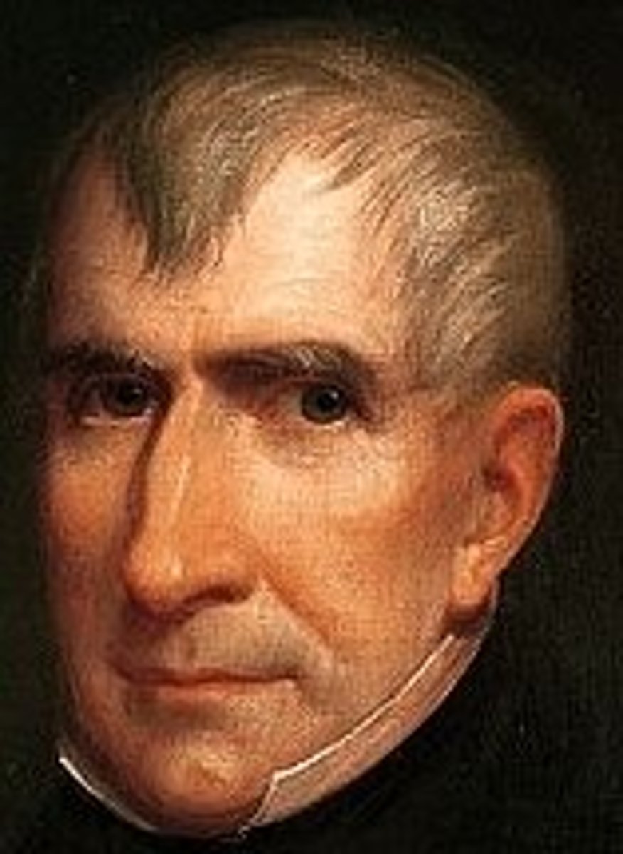 <p>Whig, defeated Tehcumseh at Tippecanoe,</p><p>Got sick from rain at inauguration and died one month into his term.</p>