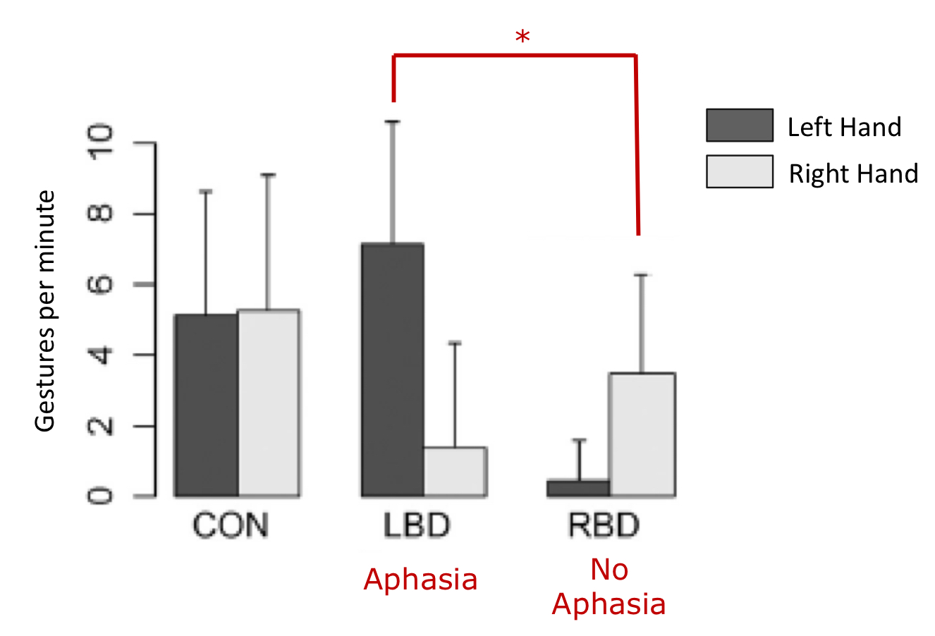 <ul><li><p>tested on people with no brain damage, people with left brain damage (aphasia), and right brain damage (no aphasia)</p></li><li><p>first watched a short story over video, then had to retell the story in a vivid way so the story would be understood</p></li><li><p>people with aphasia gestured more on their “damaged side” hand (left) than the control and the right brain damage</p></li></ul><p></p>