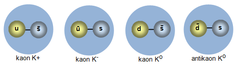 <p>A strange particle that can decay into pions</p>