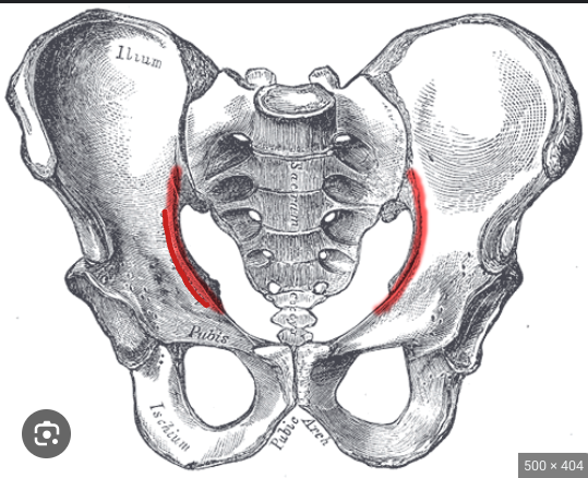 <p>What are these lines called?</p>