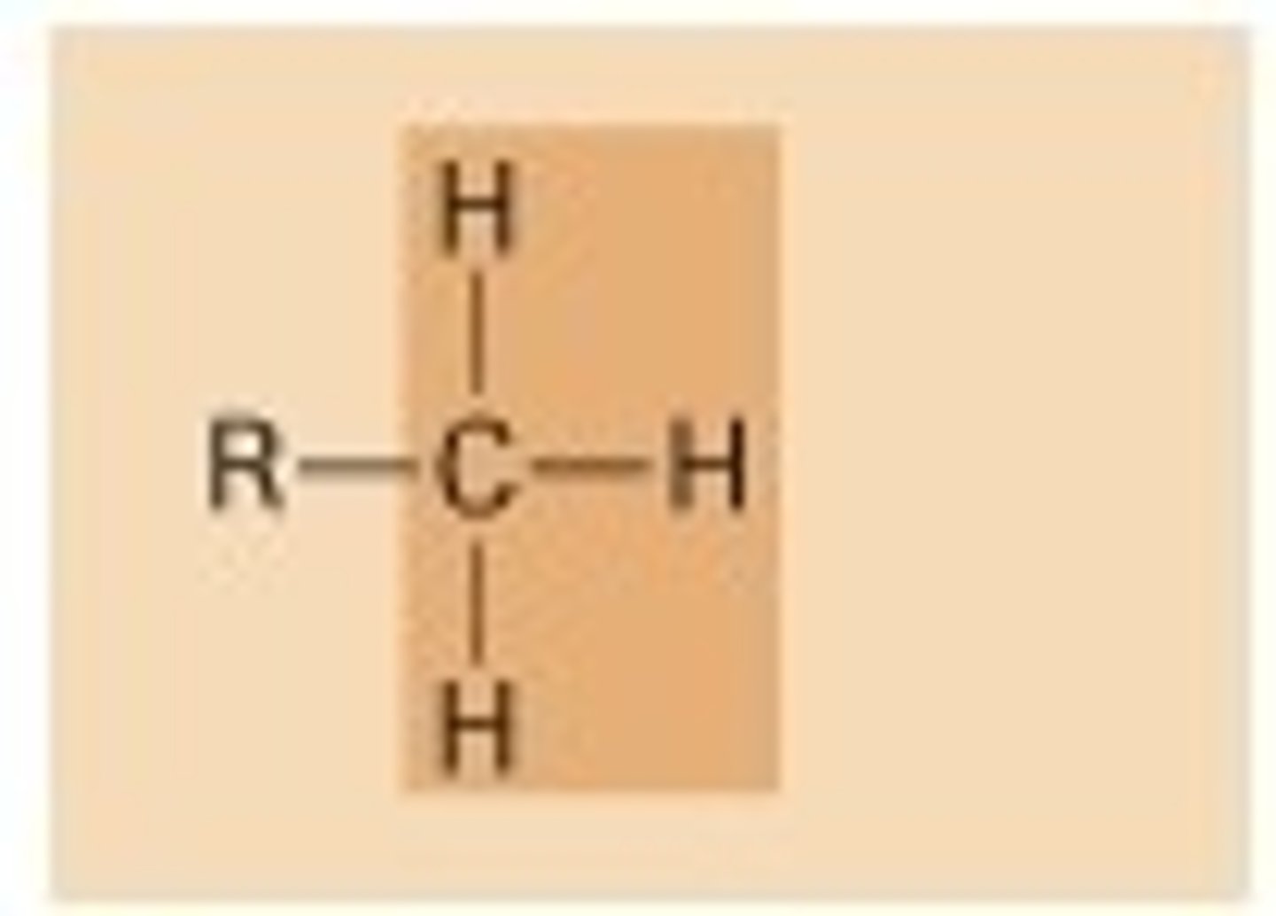 <p>folate, choline, and betaine</p>